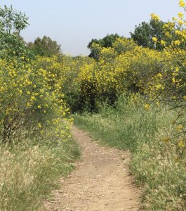Riserva Naturale dellโInsugherata